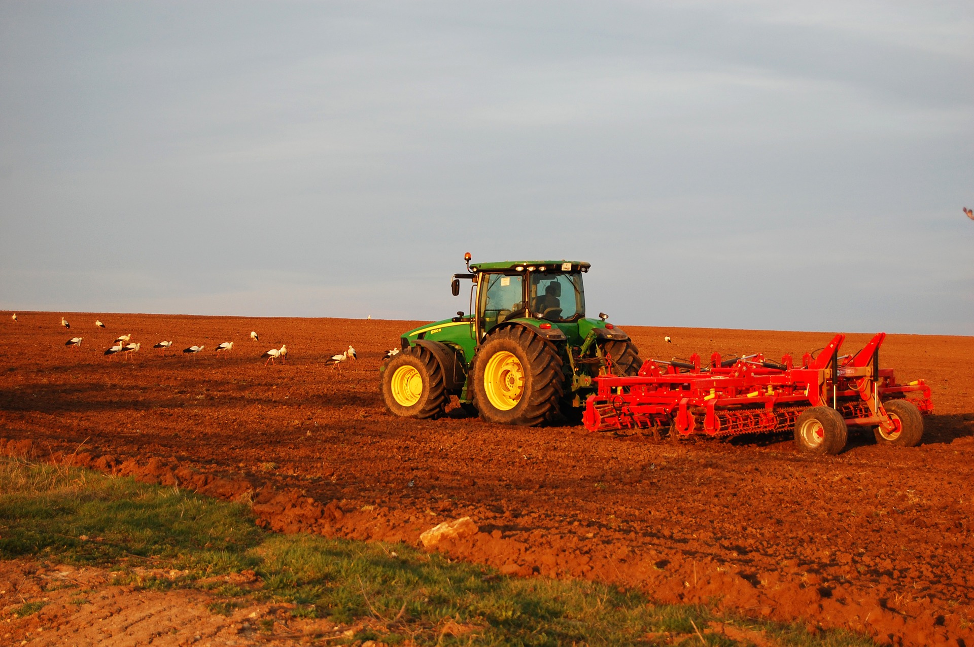 Agricultural Product Management GTHFarms